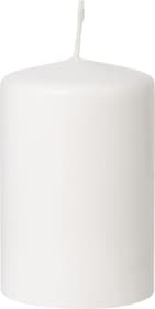 SUMMER Candela SUMMER Candela 445039800000 N. figura 1