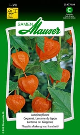 Samen Mauser Lampionpflanze Blumensamen Lampionpflanze Blumensamen Samen Mauser 650106501000 Inhalt 0.5 g (ca. 50 Pflanzen oder 5 - 6 m²) Bild Nr. 1