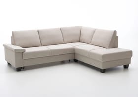 BARON Canapé-lit d'angle BARON Canapé-lit d'angle 402933850812 Dimensions L: 247.0 cm x P: 203.0 cm x H: 85.0 cm Couleur Crème Photo no. 1