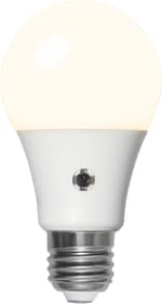 Lampadina LED 5.2W con sensore LED Lampe Star Trading 613235700000 N. figura 1