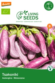 Aubergine, Tsaloniki Gemüsesamen Living Seeds 650252600000 Bild Nr. 1