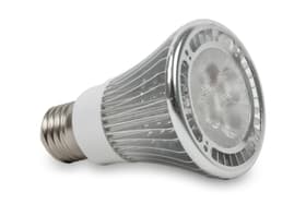 GrowLight Standard Lampe pour plantes 631330700000 Photo no. 1