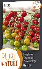 Do it + Garden Cherry-Tomate 'Cherry Rot' 0.1g Gemüsesamen Cherry-Tomate 'Cherry Rot' 0.1g Gemüsesamen Do it + Garden 287118100000 Bild Nr. 1