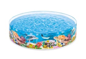 Deep blue Sea Snapse Pool