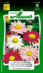 Bunte Margerite Mischung