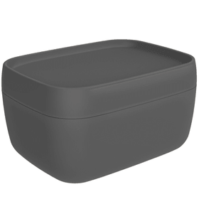 SOFIA Aufbewahrungsbox 19l mit Deckel, Kunststoff (PP) BPA-frei, anthrazit Aufbewahrungsbox Rotho 604048200000 Bild Nr. 1
