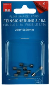 Max Hauri Feinsicherung Flink 3.15A 5 Stk. Feinsicherung Flink 3.15A 5 Stk. Max Hauri 612528600000 Bild Nr. 1