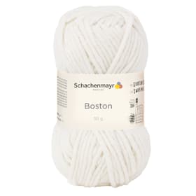 Laine Boston Laine Laine Boston Laine 667089800005 Couleur Nature Taille L: 15.0 cm x L: 8.0 cm x H: 8.0 cm Photo no. 1