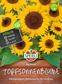 Sperli Sonnenblume Big Smile Sementi di verdura Sonnenblume Big Smile Sementi di verdura Sperli 650156000000 N. figura 1