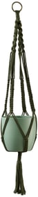 Accessori per vasi Macramè pendente Soendgen 657218300001 Colore Verde Taglio L: 90.0 cm N. figura 1