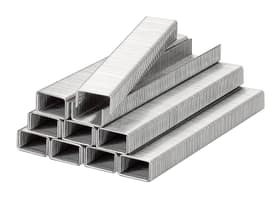 kwb Graffe, filo capillare, acciaio, 11,4 mm x 8 mm Graffe 11,4 mm di larghezza, filo capillare, acciaio Graffe, filo capillare, acciaio, 11,4 mm x 8 mm Graffe 11,4 mm di larghezza, filo capillare, acciaio kwb 617104600000 N. figura 1