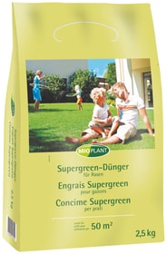 Engrais Supergreen, 2.5 kg Engrais pour gazon Mioplant 658214000000 Photo no. 1