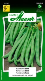 Samen Mauser Haricot nain Saxa Semences de legumes Haricot nain Saxa Semences de legumes Samen Mauser 650109305000 Contenu 80 g (env. 8 m²) Photo no. 1