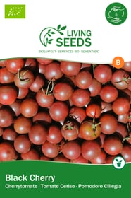 Tomate cerise, black Cherry Semences de legumes Living Seeds 650253000000 Photo no. 1