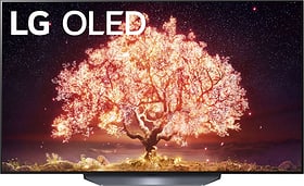 LG OLED55B1 55" 4K webOS 6.0 OLED TV OLED55B1 55" 4K webOS 6.0 OLED TV LG 770376400000 Bildschirmdiagonale in Zoll 55.0 zoll Bild Nr. 1