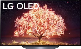 OLED55B19 (55", 4K, OLED, webOS 6.0) OLED TV LG 770376400000 Diagonale de l'Ecran en pouce 55.0 zoll Photo no. 1