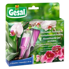 Orchideen Aufbaukur, 5x30 ml