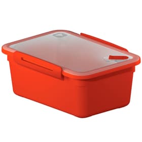MEMORY Mikrowellendose 2l mit Deckel und Ventil, Kunststoff (PP) BPA-frei, rot Küche Rotho 604061300000 Bild Nr. 1
