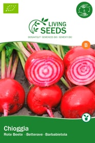 Randen / rote Beete, Chioggia Gemüsesamen Living Seeds 650255000000 Bild Nr. 1
