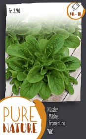 Do it + Garden Mâche (Doucette) 'Vit' 5g Semences de legumes Mâche (Doucette) 'Vit' 5g Semences de legumes Do it + Garden 287112500000 Photo no. 1