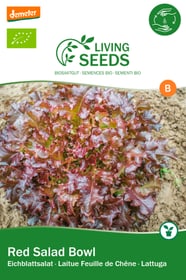 Living Seeds roter Eichblatt Salat, red Salad Bowl Gemüsesamen roter Eichblatt Salat, red Salad Bowl Gemüsesamen Living Seeds 650256000000 Bild Nr. 1