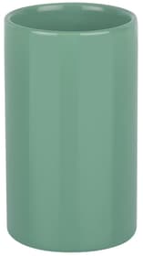 Zahnbecher Tube spirella 675263400000 Farbe Grün Grösse 11,5 x 7 cm Bild Nr. 1