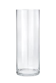 PYTHIA Vase PYTHIA Vase 440602400200 Couleur Transparent Dimensions H: 50.0 cm Photo no. 1