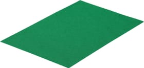 Art & Décor (Preba) Fogli di feltro 20 x 30cm Fogli di feltro 20 x 30cm Art & Décor (Preba) 665702300000 Colore Verde medio N. figura 1