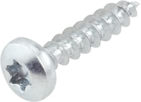 Do it + Garden Viti universali pan head con punta Viti universali pan head con punta Do it + Garden 607048700000 N. figura 1