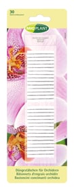 Mioplant Düngestäbchen für Orchideen, 30 Stück Düngestäbchen Düngestäbchen für Orchideen, 30 Stück Düngestäbchen Mioplant 658238300000 Bild Nr. 1