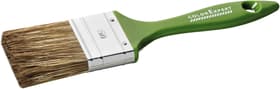 Lasur-Flachpinsel 6.St. 50mm Kunststoff-Stiel Flachpinsel Color Expert 661911600000 Bild Nr. 1