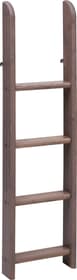 Flexa CLASSIC Echelle droite mi-hauteur CLASSIC Echelle droite mi-hauteur Flexa 404919100000 Dimensions L: 41.0 cm x P: 11.0 cm x H: 143.0 cm Couleur Terre Photo no. 1