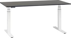FLEXCUBE PROFI Scrivania FLEXCUBE PROFI Scrivania 401885800000 Dimensioni L: 160.0 cm x P: 80.0 cm x A: 67.0 cm Colore Nero N. figura 1