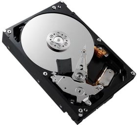 Dell 161-BCBC 3.5" SATA 2 TB Interne Festplatte 161-BCBC 3.5" SATA 2 TB Interne Festplatte Dell 785302408733 Bild Nr. 1