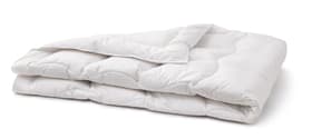 SANADAUN medium warm Hochwertiges Ganzjahresduvet mit 90% Gänsedaunen und Milbenschutz SANADAUN medium warm Hochwertiges Ganzjahresduvet mit 90% Gänsedaunen und Milbenschutz 451747712410 Farbe Weiss Grösse B: 160.0 cm x T: 240.0 cm Bild Nr. 1