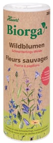 Hauert Biorga Wildblumen Schmetterlingsweide Blumensamen Biorga Wildblumen Schmetterlingsweide Blumensamen Hauert 658244800000 Bild Nr. 1