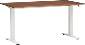 FLEXCUBE ECCO Table réglable en hauteur FLEXCUBE ECCO Table réglable en hauteur 401905700000 Dimensions L: 140.0 cm x P: 80.0 cm x H: 73.0 cm Couleur Noyer Photo no. 1