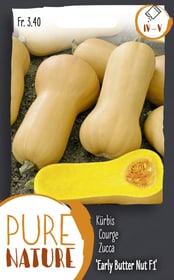 Do it + Garden Kürbis 'Early Butter Nut' F1 15 Korn Gemüsesamen Kürbis 'Early Butter Nut' F1 15 Korn Gemüsesamen Do it + Garden 287117000000 Bild Nr. 1
