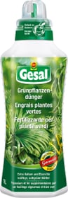 Grünpflanzendünger, 1 l