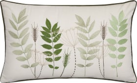 ELADIO Coussin décoratif ELADIO Coussin décoratif 450730340361 Couleur Vert clair Dimensions L: 50.0 cm x H: 30.0 cm Photo no. 1