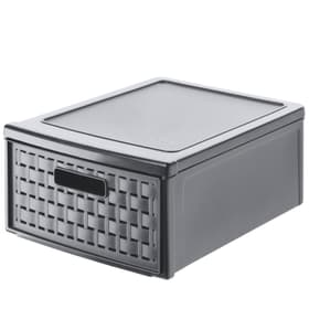 COUNTRY Schubladenbox 8.3l mit 1 Schub in Rattan-Optik, Kunststoff (PP) BPA-frei, anthrazit Schubladenbox Rotho 604054100000 Bild Nr. 1