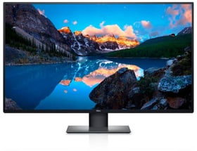 Dell U4320Q 42,5" Display Monitor U4320Q 42,5" Display Monitor Dell 785300155210 Bild Nr. 1