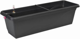 Plastkon Balconnière avec système d'irrigation Jardinière Balconnière avec système d'irrigation Jardinière Plastkon 659718000080 Couleur Anthracite Taille L: 80.0 cm x L: 20.5 cm x H: 17.0 cm Photo no. 1