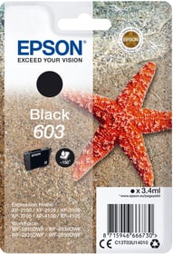 Epson Tintenpatrone 603 schwarz Tintenpatrone Tintenpatrone 603 schwarz Tintenpatrone Epson 798266600000 Bild Nr. 1
