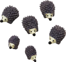 Hedgehog Magnete Bequem Online Bestellen Micasa Ch