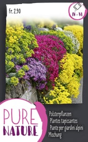 Do it + Garden Plantes tapissantes, en mélange 0.5g Semences de fleurs Plantes tapissantes, en mélange 0.5g Semences de fleurs Do it + Garden 287305700000 Photo no. 1