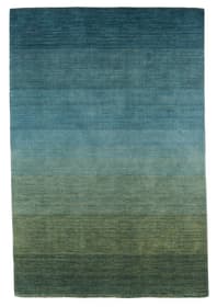 AURORA Tapis AURORA Tapis 411985712060 Couleur vert Dimensions L: 120.0 cm x P: 170.0 cm Photo no. 1