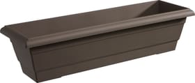 Grosfillex Siena Blumenkasten Siena Blumenkasten Grosfillex 659528100000 Farbe Taupe Grösse B: 78.0 cm x T: 25.0 cm x H: 19.0 cm Bild Nr. 1