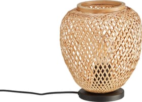 DEMBLEBY Lampe de table DEMBLEBY Lampe de table 421241000000 Photo no. 1
