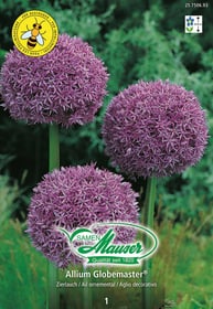 Allium Blumenzwiebeln Samen Mauser 650259400000 Bild Nr. 1